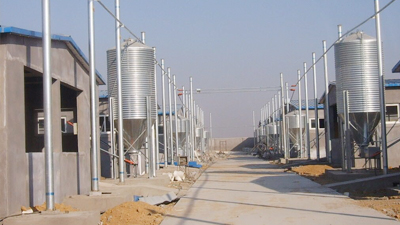 Standard construction
