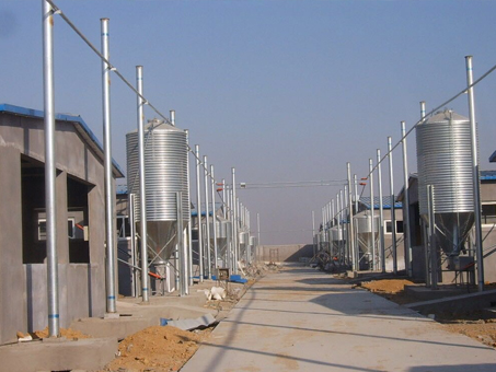 Pig house automatic Food line
