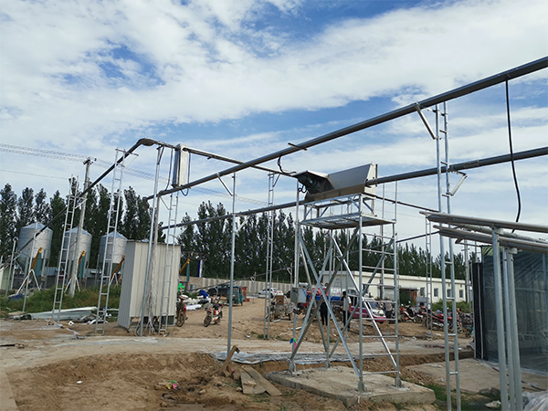 Pig farm delivery line