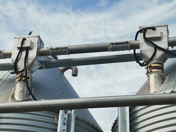 Pig farm delivery line
