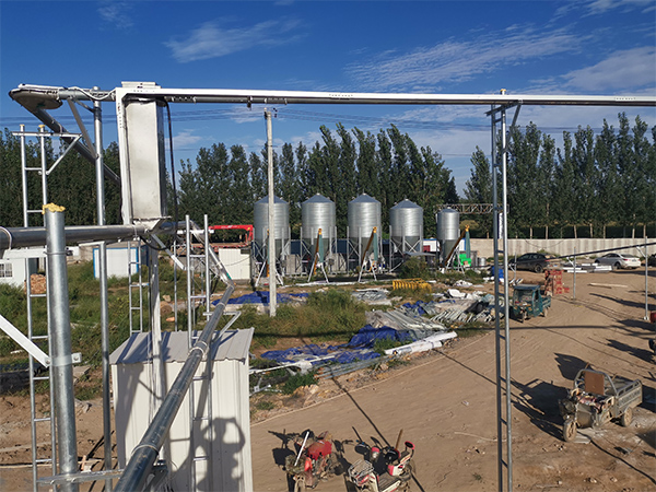 Pig farm delivery line
