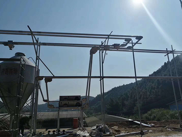 Pig farm delivery line