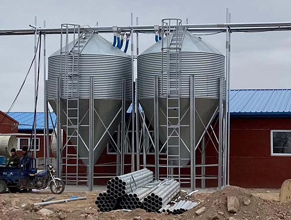 Pig farm delivery line