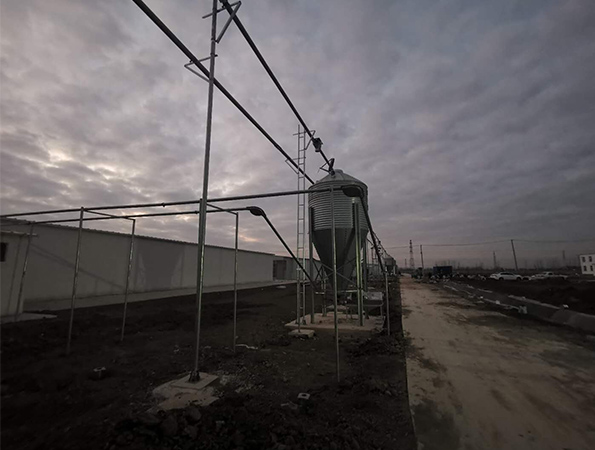 Pig farm delivery line