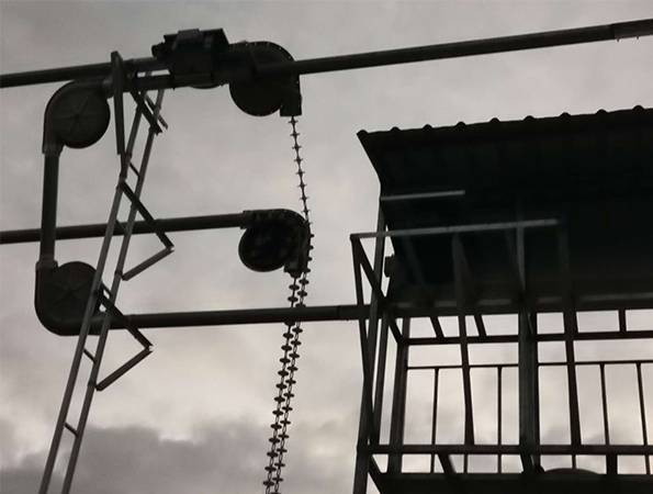 Pig farm delivery line