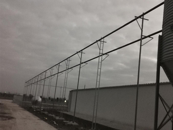 Pig farm delivery line