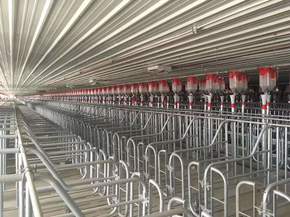 Automatic feeding line installa