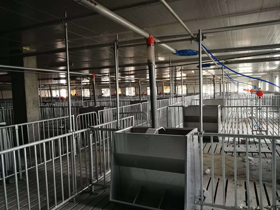 Automatic feeding line installa