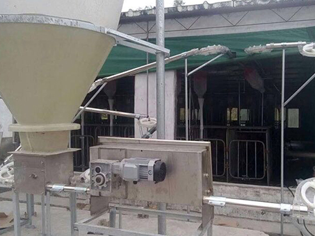 Automatic feeding line installation for piggery