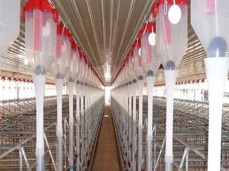 Automatic feeding line installation for piggery
