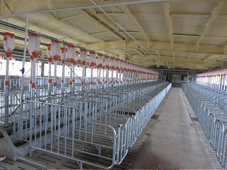 Automatic feeding line for piggery