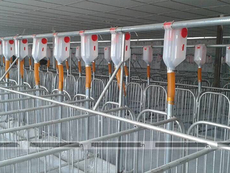Automatic feeding line for piggery