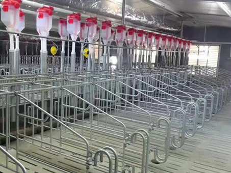 Automatic feeding line for piggery