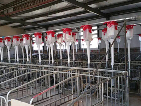 Automatic feeding line for piggery