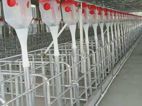 Automatic feeding line for piggery