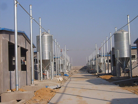 Automatic feeding line for piggery