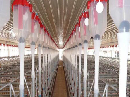Automatic feeding line for piggery